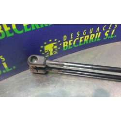Recambio de amortiguadores maletero/ porton para opel corsa b swing referencia OEM IAM 9038870724478  