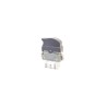 Recambio de mando elevalunas trasero izquierdo para renault scenic ii confort expression referencia OEM IAM 8200315029  