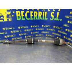 Recambio de transmision delantera derecha para renault megane ii berlina 5p authentique referencia OEM IAM 8200198015  