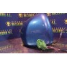 Recambio de retrovisor derecho para volkswagen beetle (5c1) referencia OEM IAM   