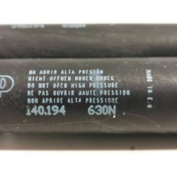 Recambio de amortiguadores maletero/ porton para peugeot 307 break / sw (s1) sw pack referencia OEM IAM   