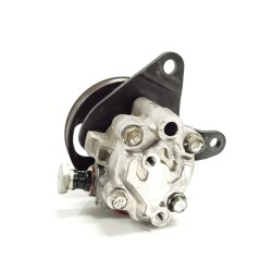 Recambio de bomba direccion para nissan pathfinder (r51) 2.5 dci le referencia OEM IAM   