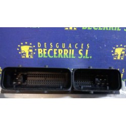 Recambio de centralita motor uce para seat ibiza (6l1) hit referencia OEM IAM 045906019 0281012318 