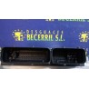 Recambio de centralita motor uce para seat ibiza (6l1) hit referencia OEM IAM 045906019 0281012318 